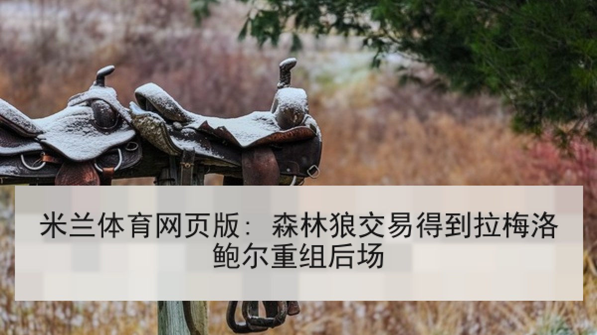 米兰体育网页版: 森林狼交易得到拉梅洛鲍尔重组后场